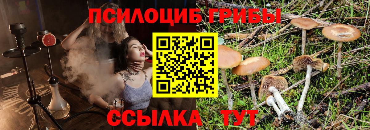 Галлюциногенные грибы мицелий  Вход с VPN  Нягань  Псилоцибиновые грибы Psilocybe 