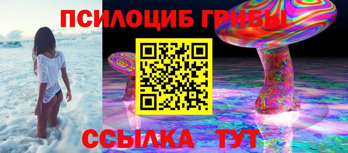 Галлюциногенные грибы Cubensis Нягань